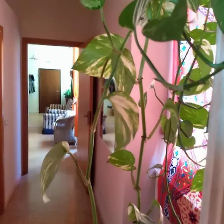 Διαμέρισμα Casa Lucio *